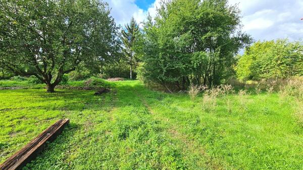 PRODEJ ZAHRADY, Nové Dvory, 355 m²